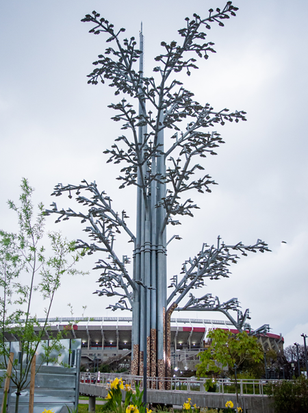 Parque de Innovaci�n